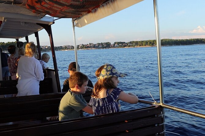 Beautiful Sunset and Dolphin Watching - Who should book this dolphin and sunset cruise in Istria?
