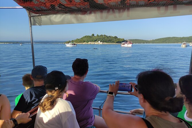 Beautiful Sunset and Dolphin Watching - Should you book Beautiful Sunset and Dolphin Watching?