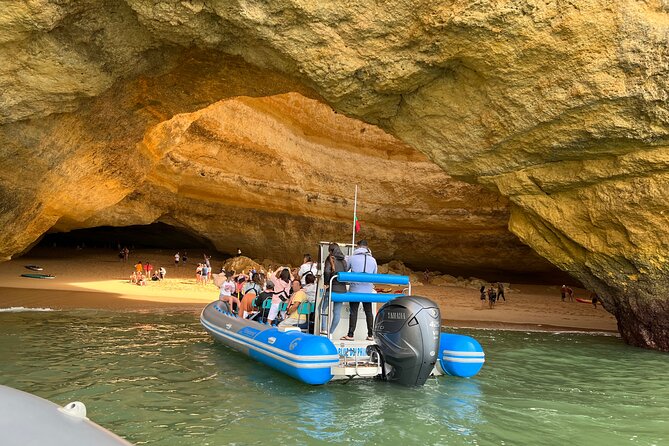 Benagil Caves and Dolphins from Albufeira - Key highlights to know before you go