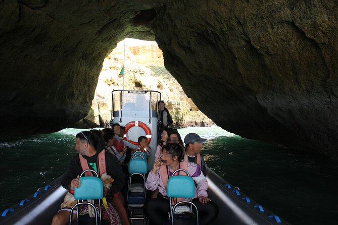Benagil Caves and Dolphins from Albufeira - Dolphin time: how to get the most from the sea spotting