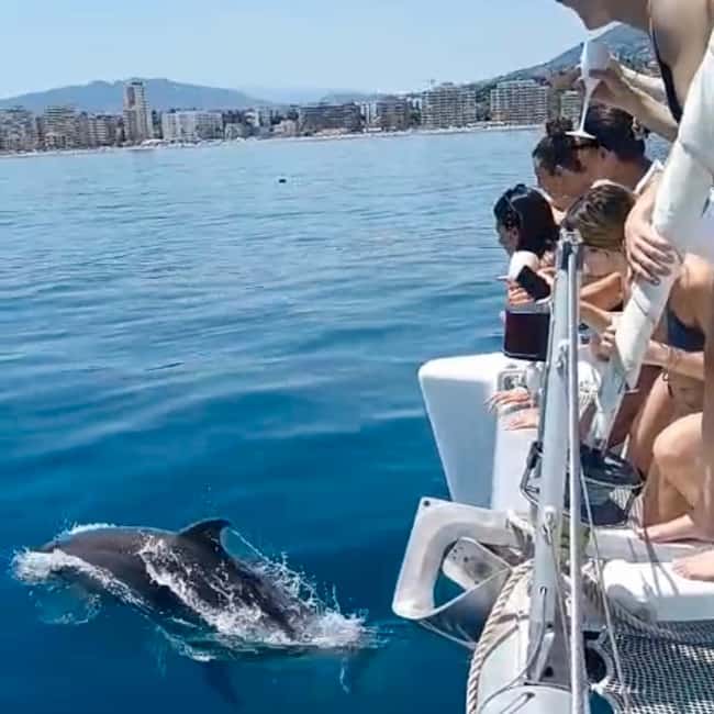 Benalmádena: Catamaran with dolphin watching and drinks - A private catamaran on the Costa del Sol, built for relaxing