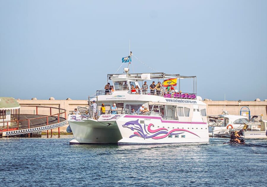 Benalmadena: Dolphin Watching Boat Tour - Key points before you go