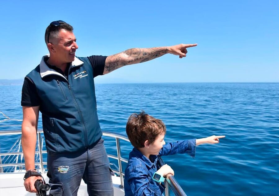 Benalmadena: Dolphin Watching Boat Tour - Costa del Sol by Catamaran: New Magic Comfort for 100 Minutes