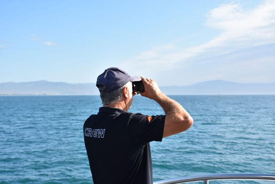 Benalmadena: Dolphin Watching Boat Tour - Price and Dolphin-Free Plan: Why This Tour Feels Fair