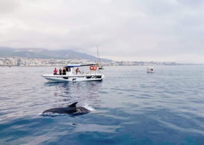 Benalmadena: Private Boat Trip – Dolphins, Drinks & Snacks - Finding the Boat Fast: Port of Benalmádena and Berth 674