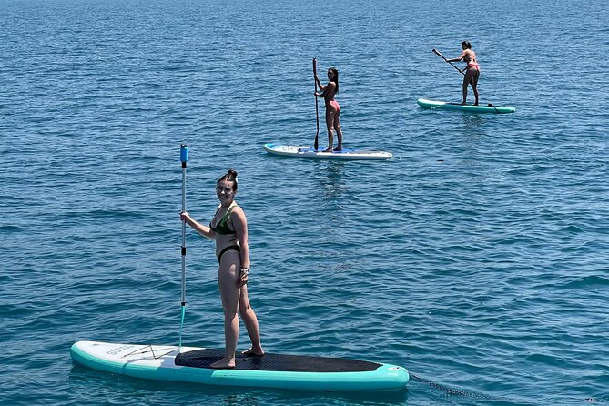 Benalmádena: Sailing and Dolphin Watching with Snacks and Drinks - Dolphins, Pilot Whales, and When Nature Doesn’t Cooperate