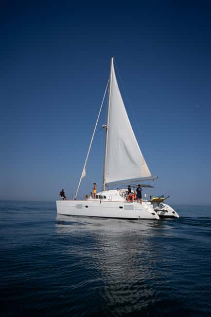 Benalmádena: Sailing & Dolphin Watching with Snacks/Drinks - Drinks and Snacks: Included Refreshments and the Real Food Options