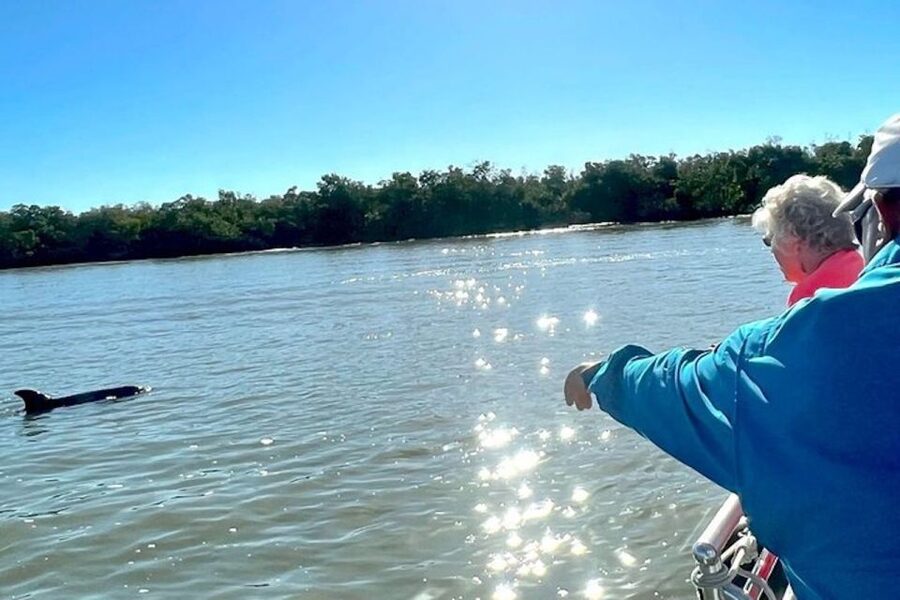 Best of Marco Dolphin Tour - Small-Group Comfort: Limited to 6, Plus a Cooler With Ice