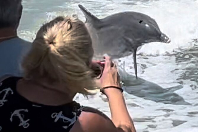 Best of Marco Island Dolphin Tour - Price and Logistics: What $99 Buys You