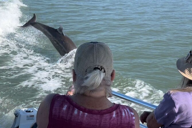 Best of Marco Island Dolphin Tour - Marco Island Sight Zones After the Refuge (15 Minutes)