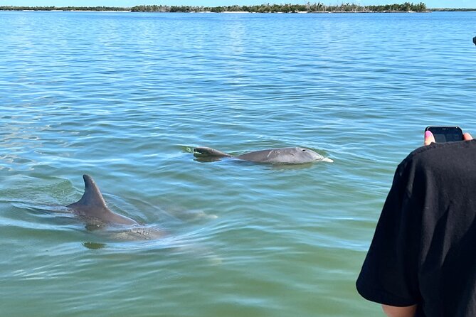 Best of Marco Island Dolphin Tour - Dome House Moments: The Abandoned Water Landmark