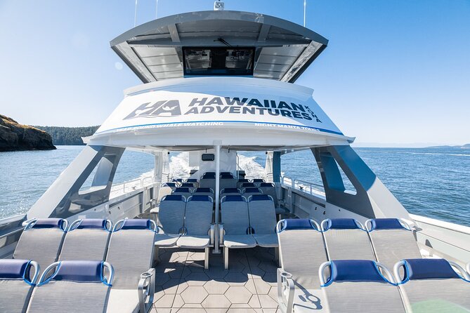 Big Island: Pelagic Whale Watch Tour - Kona’s whale watch zones: how Honokohau Harbor changes your odds