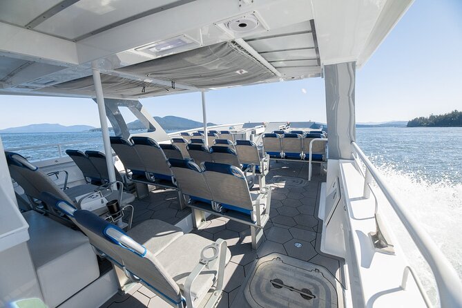 Big Island: Pelagic Whale Watch Tour - Price and value: why $129 can be worth it in Kona