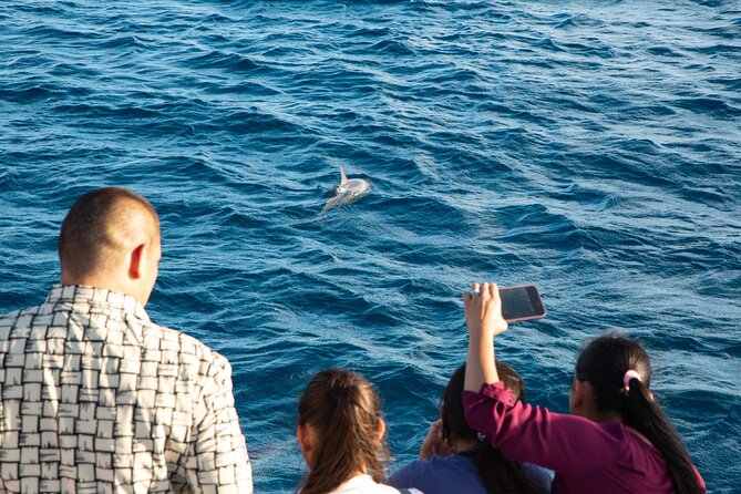 BIG Sunset Cruise - Dinner & Dolphin Watching in Guam - Key highlights to know before you go