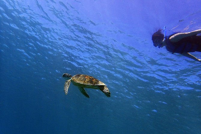 BIG Sunset Cruise - Dinner & Dolphin Watching in Guam - Dress Code and Practical Packing: The Comfort Checklist