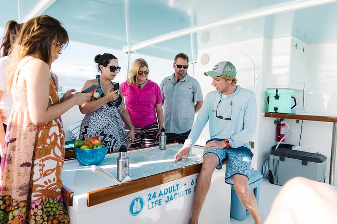 Biologist Owned & Operated: Dolphin Watching & Guided Snorkeling - Meeting at 231 Margaret St: what happens before you board