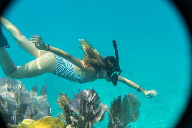 Biologist Owned & Operated: Dolphin Watching & Guided Snorkeling - Eco-minded boat manners and safety: the stuff you can feel on board