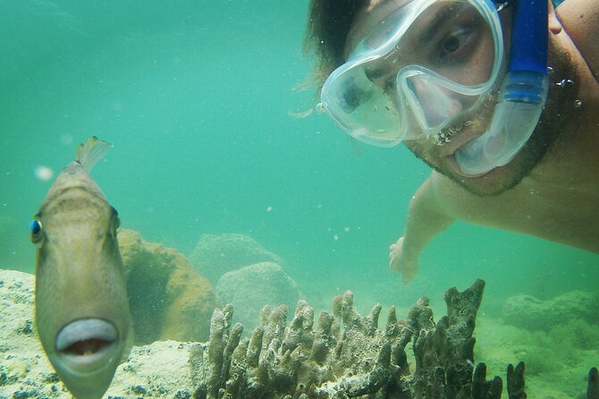 Biologist Owned & Operated: Dolphin Watching & Guided Snorkeling - How long is it, and how to plan your Key West afternoon