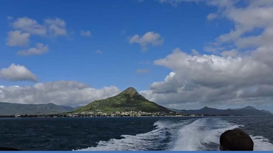 Black River: Swim with Dolphin Speed Boat Tour with lunch - Who should book (and who should skip)