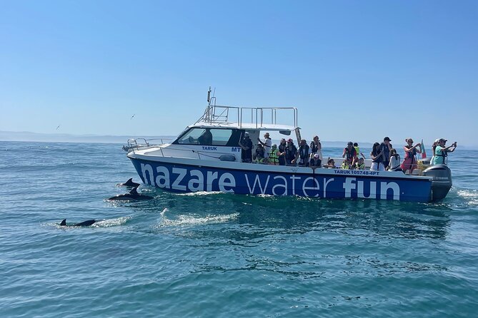 Boat Tour : Observation of Dolphins and Nazareth Canyon - Key Highlights You Should Know Before You Go