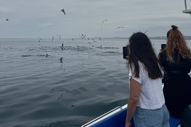 Boat Tour : Observation of Dolphins and Nazareth Canyon - Where This Dolphin Boat Tour Fits in Your Nazaré Plan