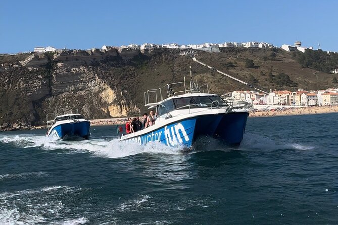Boat Tour : Observation of Dolphins and Nazareth Canyon - Fort of São Miguel: Museum + Surfers in Action