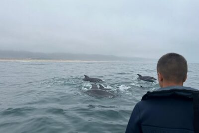 Boat Tour : Observation of Dolphins and Nazareth Canyon - Meeting at Clube Naval da Nazaré: Start Smooth, Not Stressful