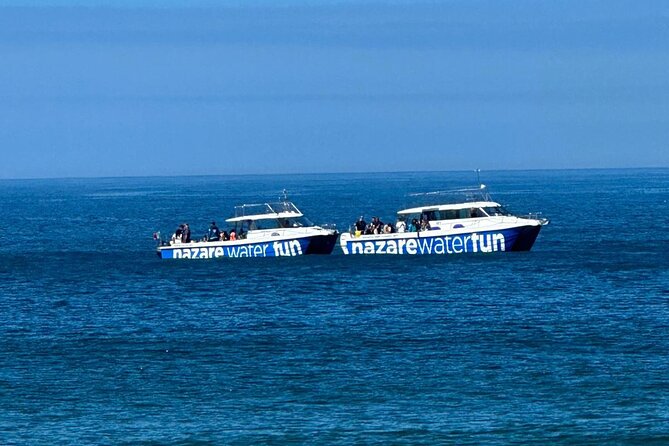 Boat Tour : Observation of Dolphins and Nazareth Canyon - Nazaré Beach and the Barracas Rentals: Sea Views With a Real Local Angle