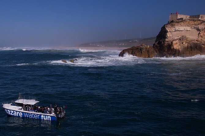 Boat Tour : Observation of Dolphins and Nazareth Canyon - Heading Toward Nazareth Canyon for Dolphins: What You’ll Actually Do
