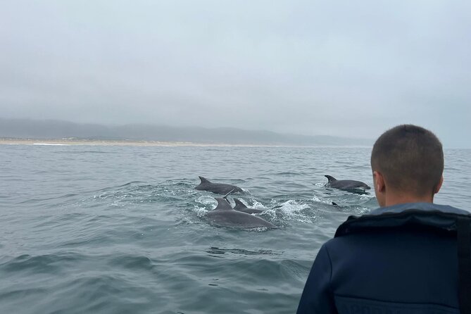Boat Tour : Observation of Dolphins and Nazareth Canyon - Meeting at Clube Naval da Nazaré: Start Smooth, Not Stressful