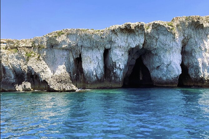 Boat tour with dolphin sighting - Key things to know before you go