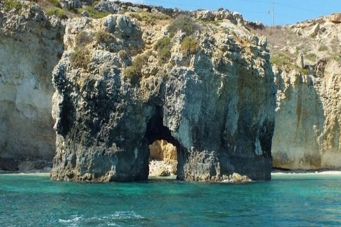 Boat tour with dolphin sighting - Price and drinks: what you’re really paying for