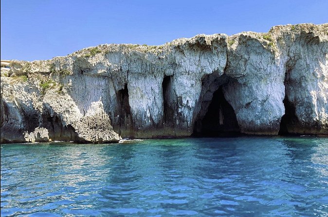 Boat tour with dolphin sighting - Getting the most out of your day: simple practical moves