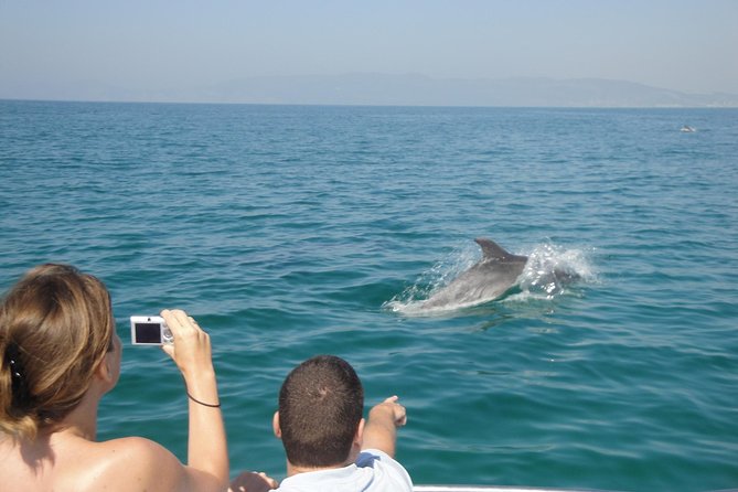 Boat Trip for Dolphin Watching along the Arrabida Coast and Sesimbra - Porto Abrigo meeting point: start on time, keep it simple