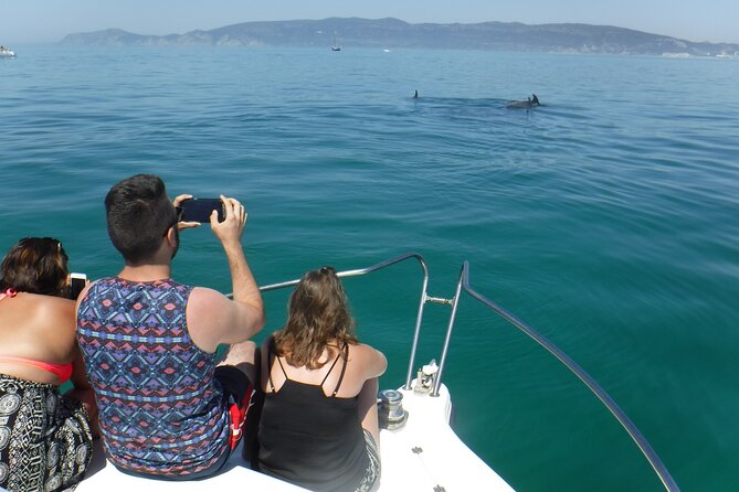 Boat Trip for Dolphin Watching along the Arrabida Coast and Sesimbra - Marine environment mini-lesson plus geology and local history