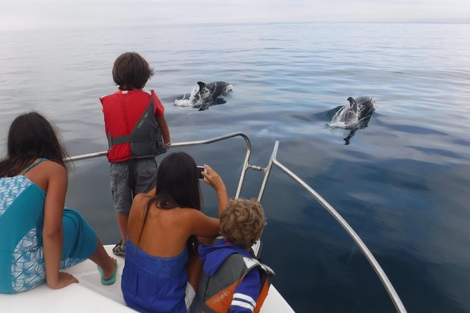 Boat Trip for Dolphin Watching along the Arrabida Coast and Sesimbra - Beaches and caves cruise: the coast keeps going after dolphins