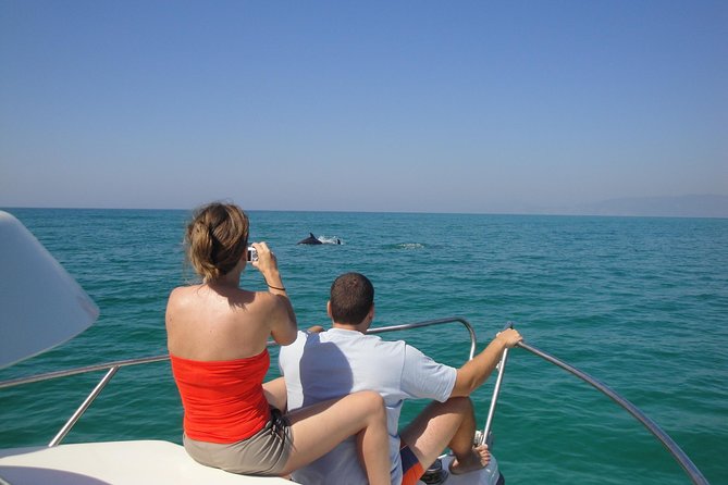 Boat Trip for Dolphin Watching along the Arrabida Coast and Sesimbra - Possible time in the water: fun, but only if conditions allow