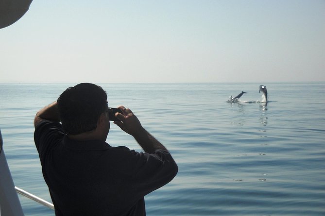 Boat Trip for Dolphin Watching along the Arrabida Coast and Sesimbra - Who this tour is best for