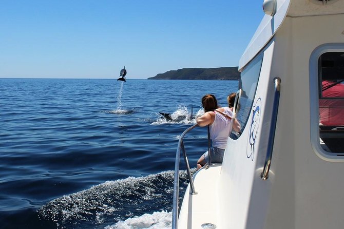 Boat Trip for Dolphin Watching along the Arrabida Coast and Sesimbra - The dolphin search: how you go from watching to being close