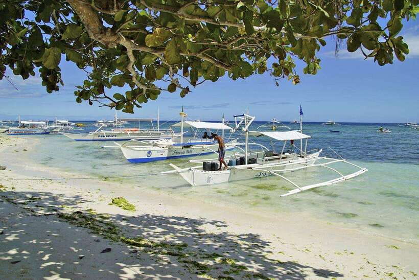 Bohol Balicasag Is Private Tour and Dolphin Watching - Key highlights to look for