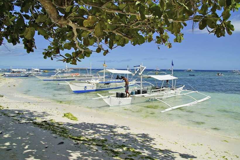 Bohol Balicasag Is Private Tour and Dolphin Watching - Practical expectations so you don’t get surprised