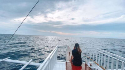 Bohol Balicasag Is Private Tour and Dolphin Watching - Dolphin watching and island hopping: what the schedule is really doing