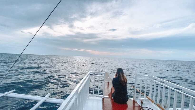 Bohol Balicasag Is Private Tour and Dolphin Watching - Who should book this private Balicasag and dolphin tour
