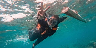 Bohol Dolphin Watching, Balicasag, and Virgin Island Tour - Morning Logistics: Pick-Up Rules and Why Timing Can Feel Tight