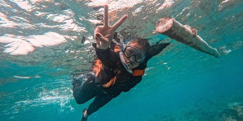 Bohol Dolphin Watching, Balicasag, and Virgin Island Tour - Balicasag Island Snorkeling: Coral Reefs, Turtles, and Crowds