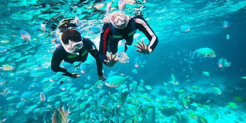 Bohol Dolphin Watching, Balicasag, and Virgin Island Tour - Virgin Island Sandbar and Kalipayan Beach: What You’ll Get Right Now