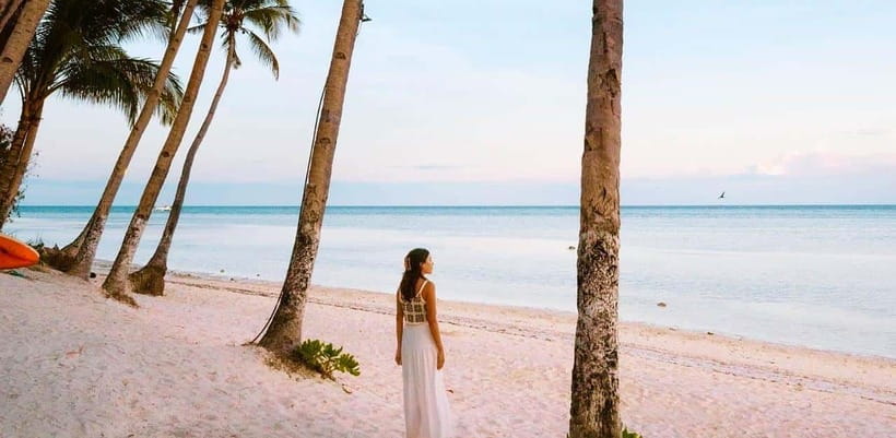Bohol: Dolphin Watching & Sea Turtle Swim Island Tour - Who Should Book This Tour (and Who Might Reconsider)