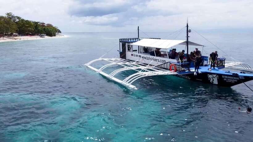 Bohol: Dolphin Watching & Snorkeling at Balicasag Island - Shared vs private boat: what changes beyond the price