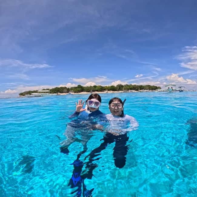BOHOL: Dolphin Watching, Turtle Swim and Party Boat - Key highlights you’ll actually feel on the day