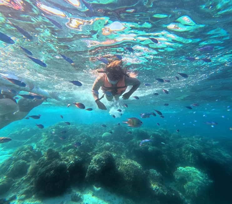 BOHOL: Dolphin Watching, Turtle Swim and Party Boat - Balicasag Island turtle swim: what snorkeling here is really like